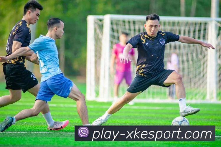 星空电竞平台生态图